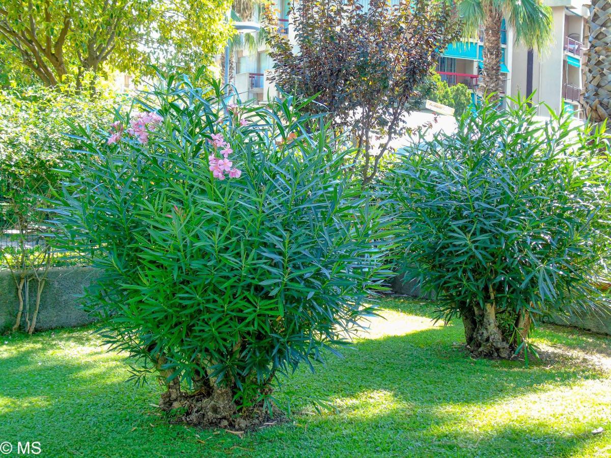 Pietra Home, Posto Auto, Ac ,Wifi, 150Mt Dal Mare Pietra Ligure Exteriér fotografie